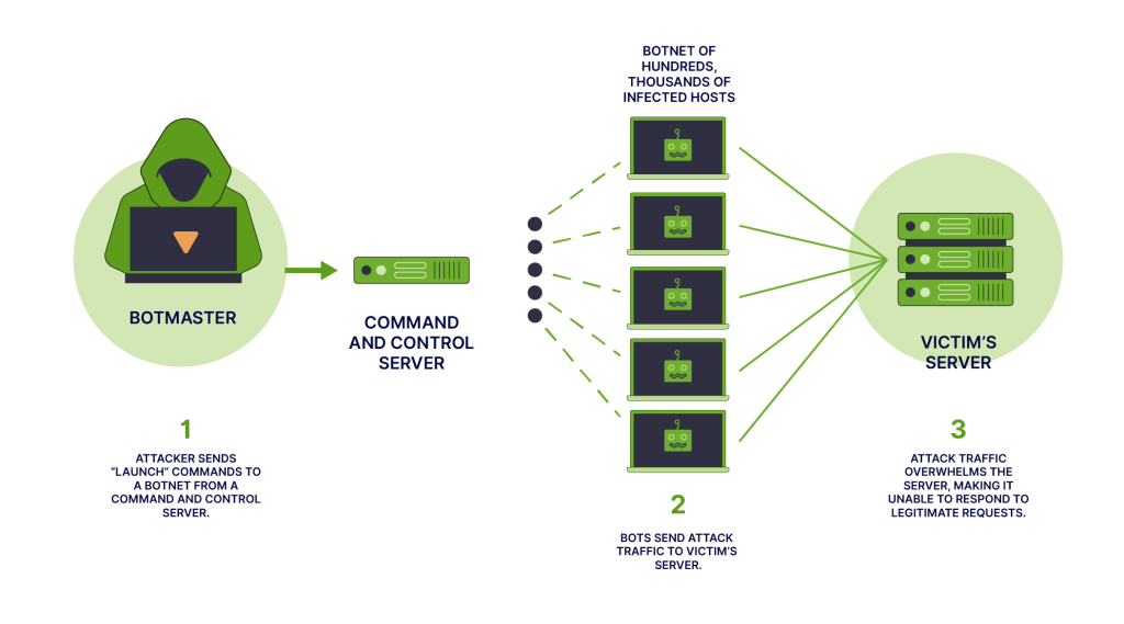 Infographic illustrating how DDoS attacks use bots to overwhelm a website's servers. 